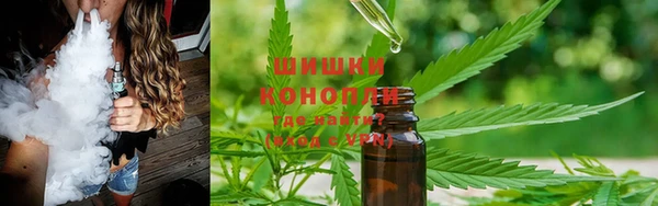винт Балахна